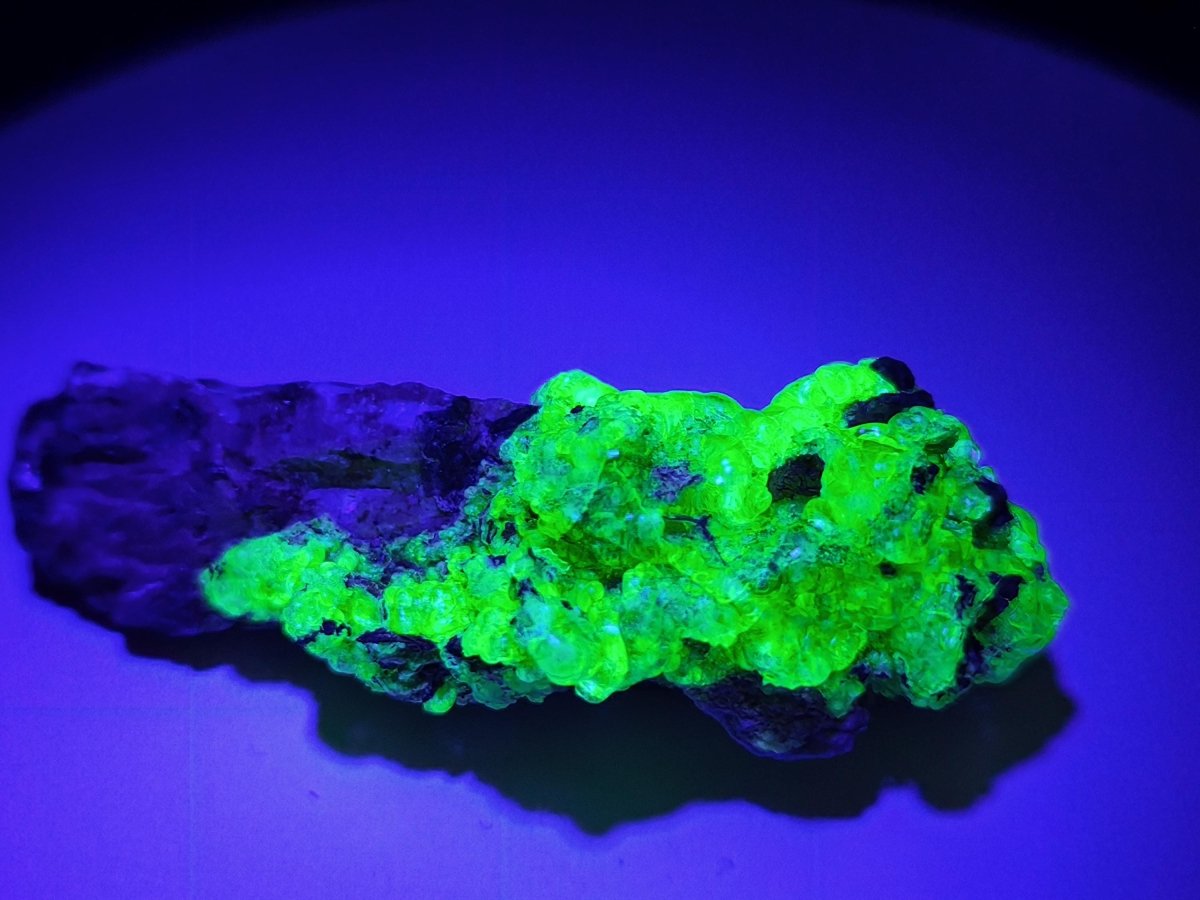 Hyalit Opal Namibia | UV aktiver Hyalit mit neongrüner Fluoreszenz | Traubige Mineralstufe Erongo| Sammler mineral Kristall Rarität - Art of Nature Berlin