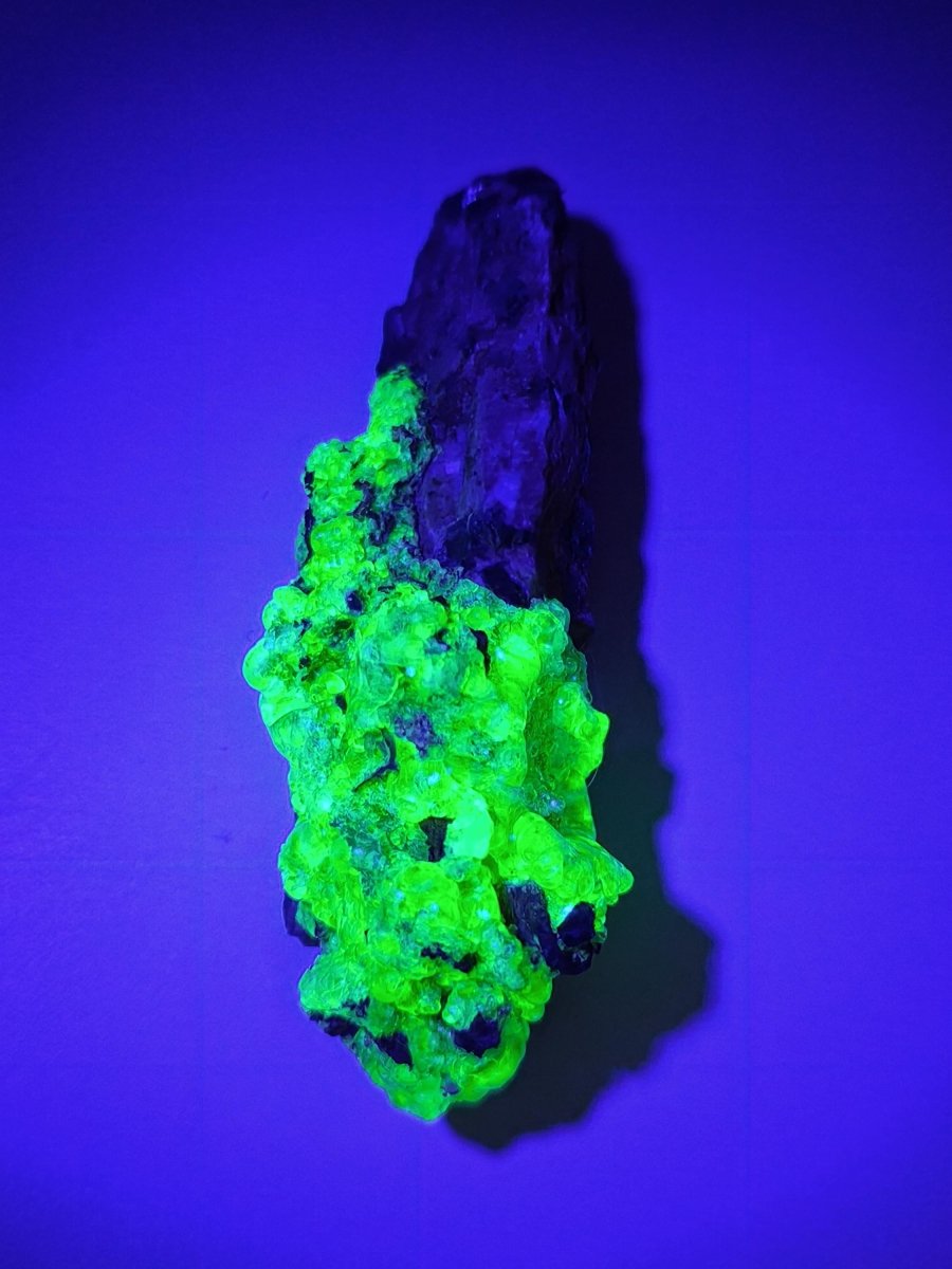 Hyalit Opal Namibia | UV aktiver Hyalit mit neongrüner Fluoreszenz | Traubige Mineralstufe Erongo| Sammler mineral Kristall Rarität - Art of Nature Berlin