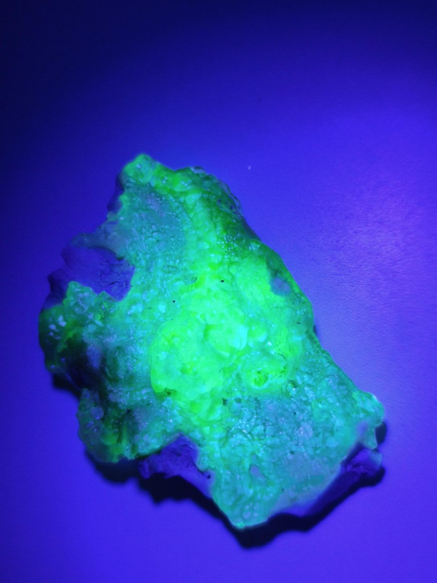 Hyalit Opal Namibia | UV aktiver Hyalit mit neongrüner Fluoreszenz | Traubige Mineralstufe Erongo| Sammler mineral Kristall Rarität - Art of Nature Berlin