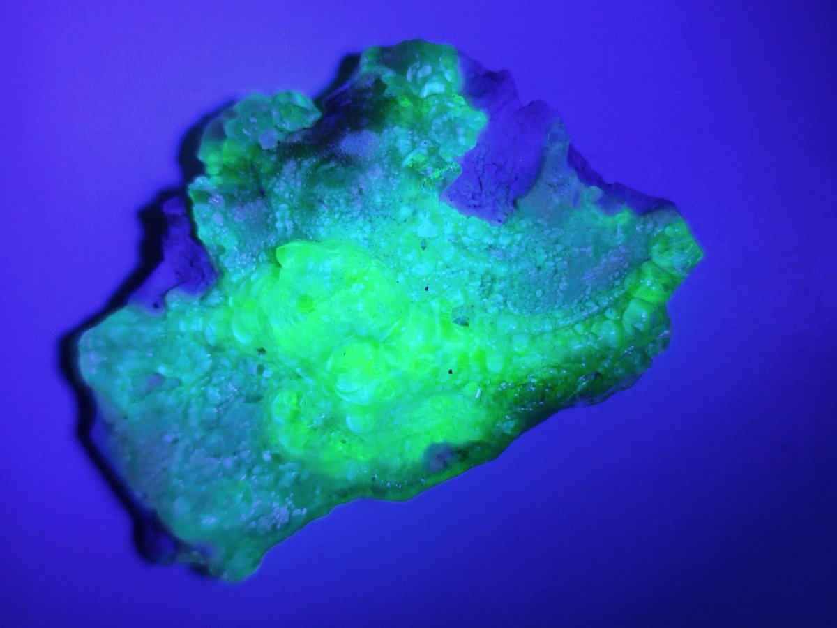 Hyalit Opal Namibia | UV aktiver Hyalit mit neongrüner Fluoreszenz | Traubige Mineralstufe Erongo| Sammler mineral Kristall Rarität - Art of Nature Berlin
