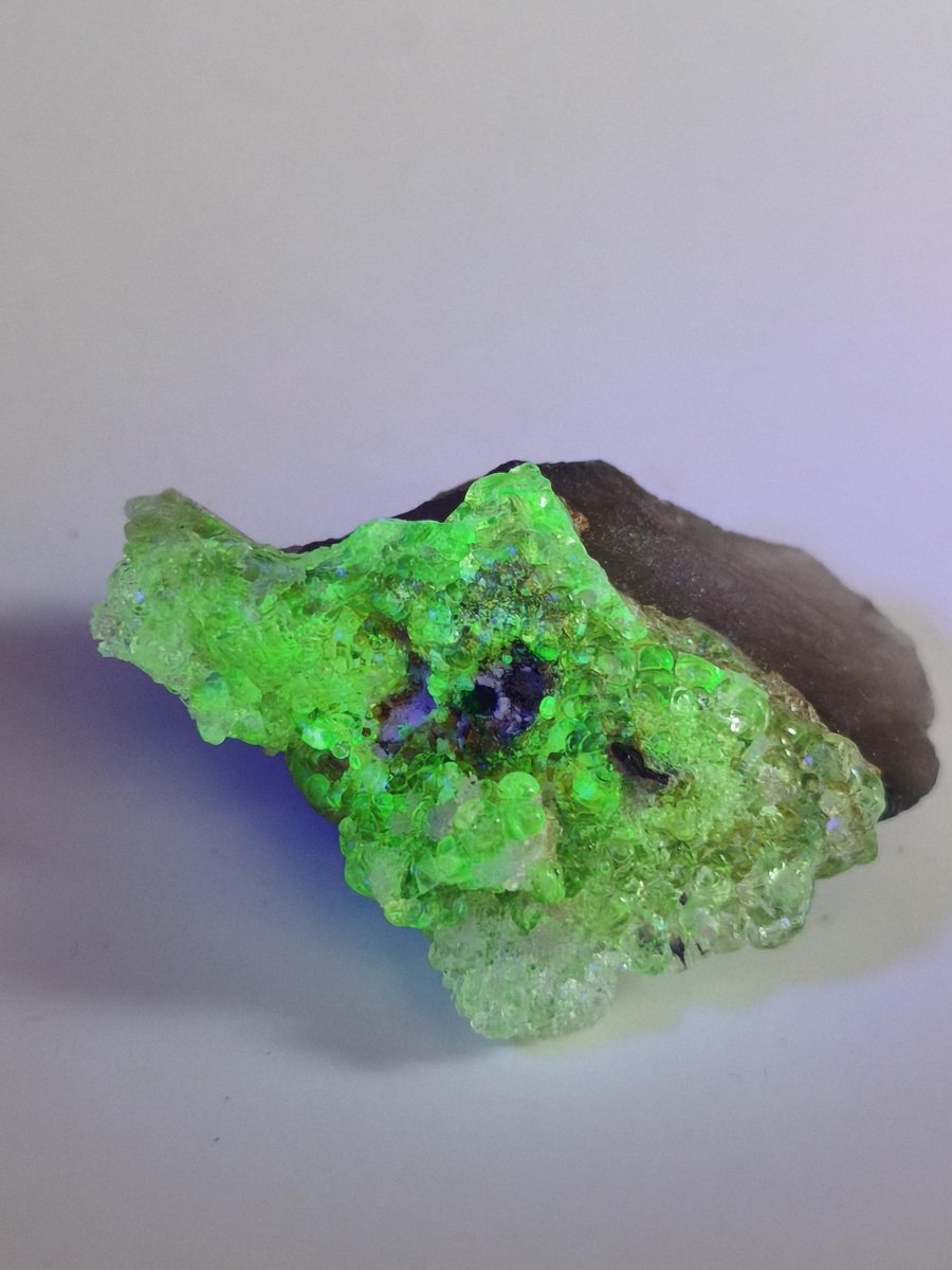 Hyalit Opal Namibia | UV aktiver Hyalit mit neongrüner Fluoreszenz | Traubige Mineralstufe Erongo| Sammler mineral Kristall Rarität - Art of Nature Berlin