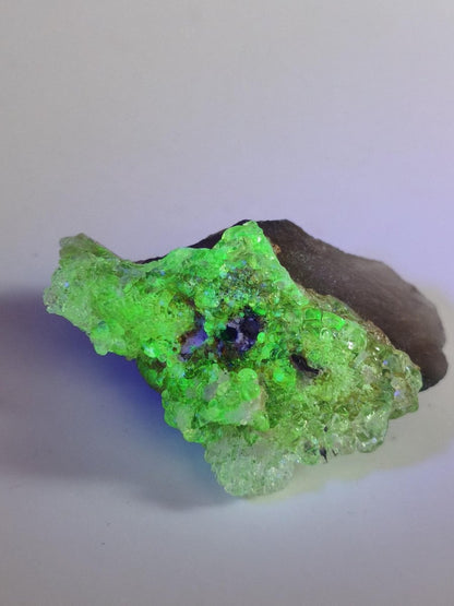 Hyalit Opal Namibia | UV aktiver Hyalit mit neongrüner Fluoreszenz | Traubige Mineralstufe Erongo| Sammler mineral Kristall Rarität - Art of Nature Berlin