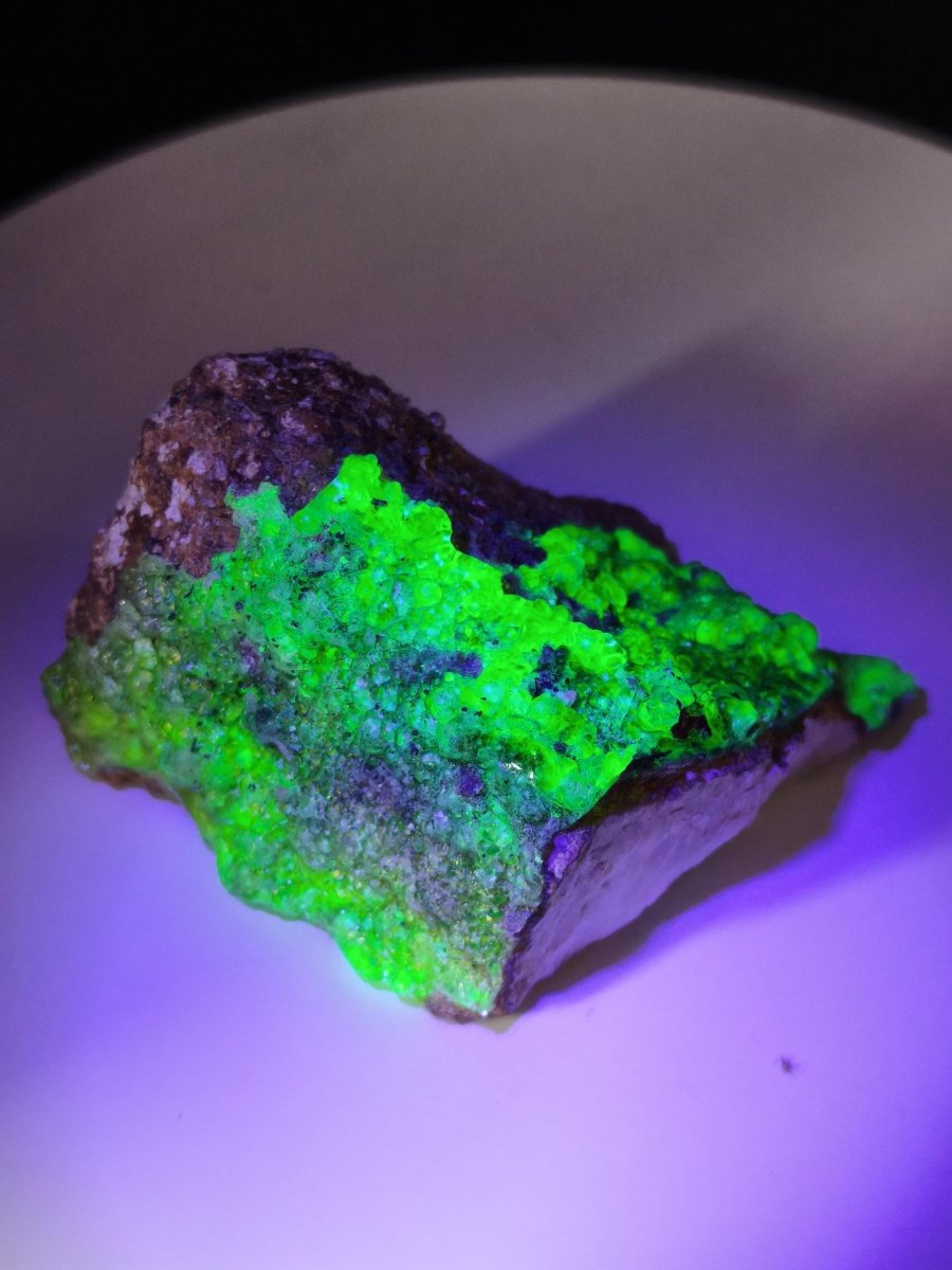 Hyalit Opal XL Namibia | UV aktiver Hyalit mit neongrüner Fluoreszenz | Traubige Mineralstufe Erongo| Sammler mineral Kristall Rarität - Art of Nature Berlin