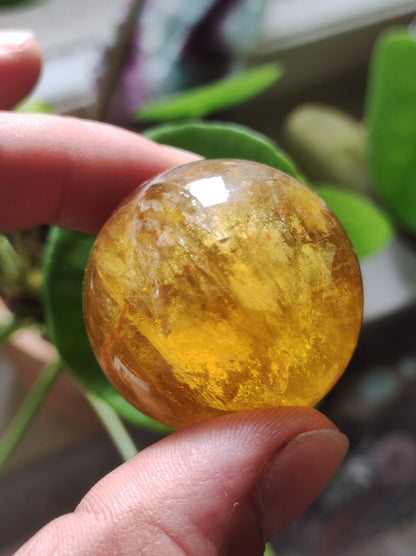 Mica Fluorite Jaune AAA Boule de Pierres Précieuses Sphère Décorative Massage Collecteur de Cristal Méditation Pierre de Guérison Femme Homme Cadeau Lui Sa Maison Énergie Vivante