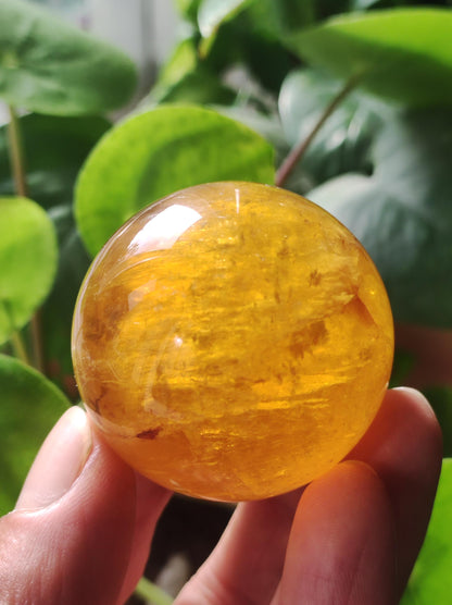 Mica Fluorite Jaune AAA Boule de Pierres Précieuses Sphère Décorative Massage Collecteur de Cristal Méditation Pierre de Guérison Femme Homme Cadeau Lui Sa Maison Énergie Vivante