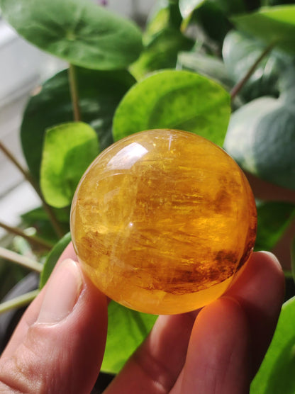 Mica Fluorite Jaune AAA Boule de Pierres Précieuses Sphère Décorative Massage Collecteur de Cristal Méditation Pierre de Guérison Femme Homme Cadeau Lui Sa Maison Énergie Vivante