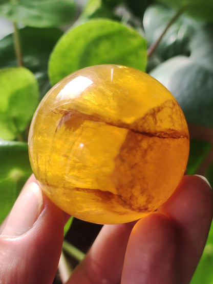 Mica Fluorite Jaune AAA Boule de Pierres Précieuses Sphère Décorative Massage Collecteur de Cristal Méditation Pierre de Guérison Femme Homme Cadeau Lui Sa Maison Énergie Vivante