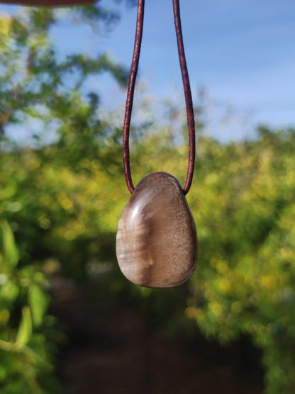 Versteinertes Holz - Edelstein Kette braun Natur Heilstein Kristall Anhänger Mann Frau Kind Er Sie Bruder Schwester Geschenk Qualität