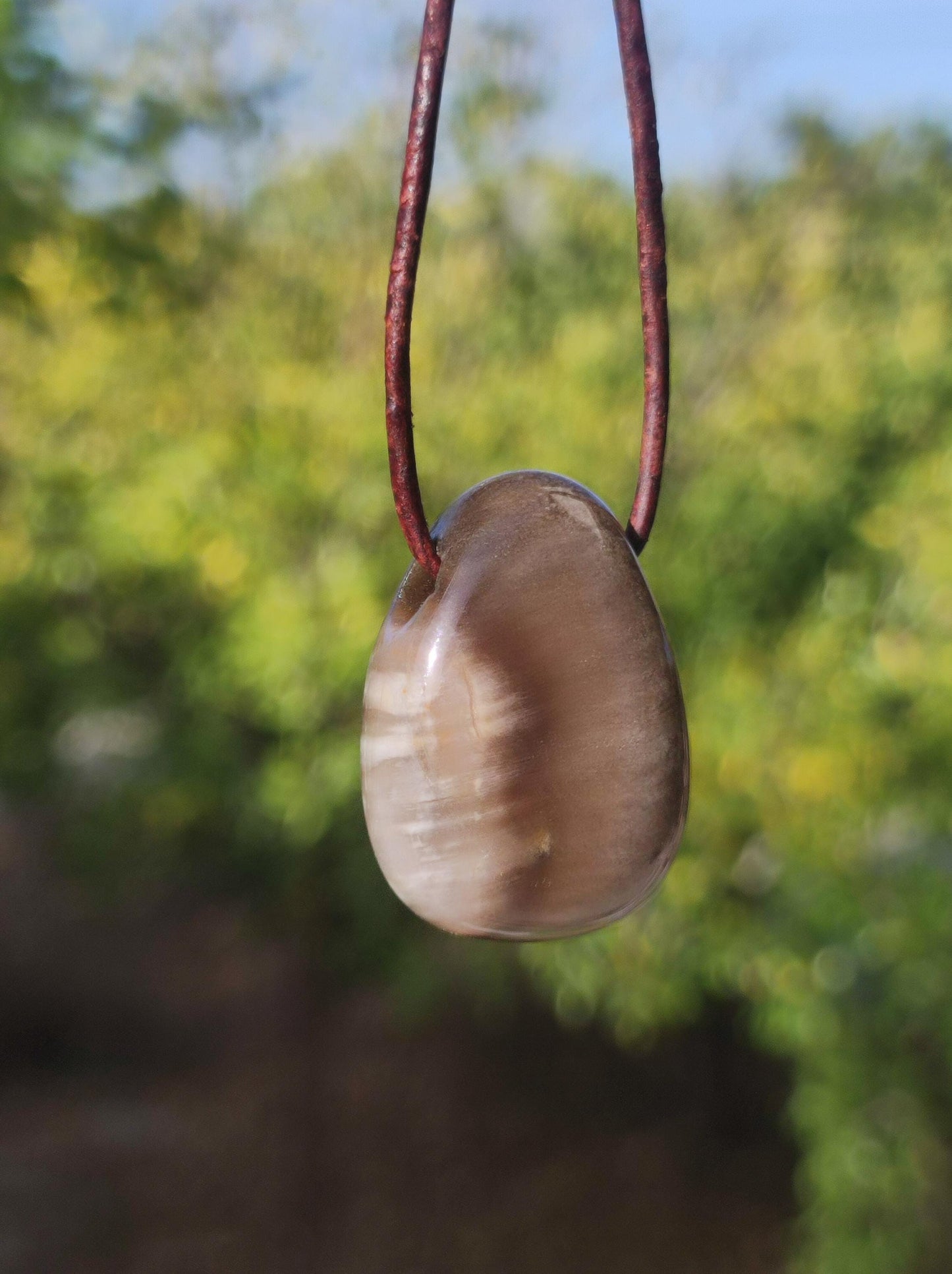 Versteinertes Holz - Edelstein Kette braun Natur Heilstein Kristall Anhänger Mann Frau Kind Er Sie Bruder Schwester Geschenk Qualität