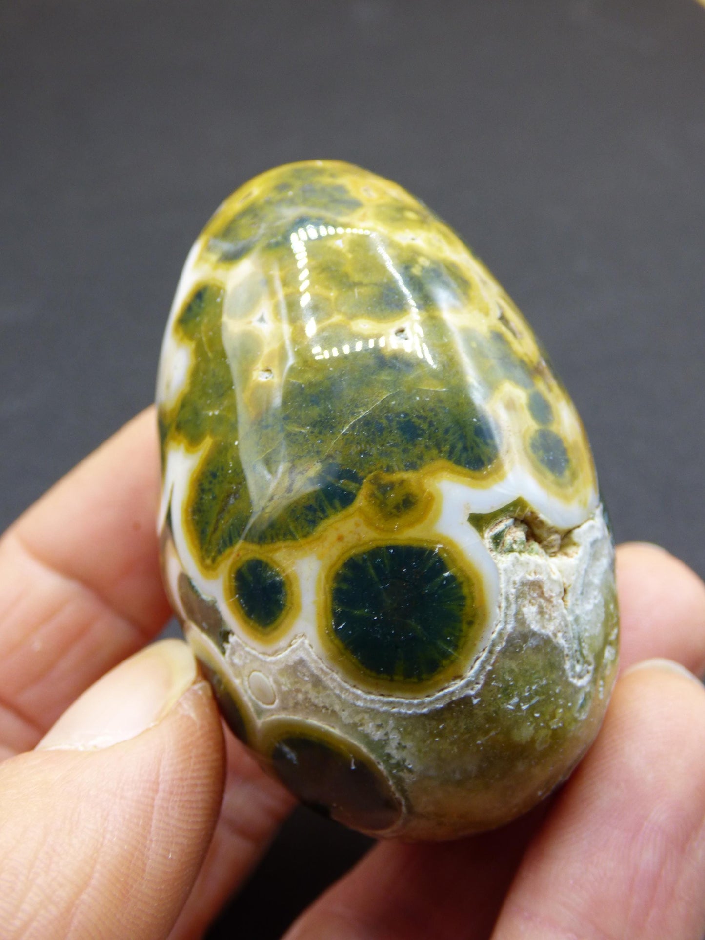 8 Adern Ocean Jaspis Orbicular grün gelb weiß - Edelstein Ei Kugel Natur Heilstein Deko Crystal Geschenk Er Sie Mann Frau Haus Wohnen Selten