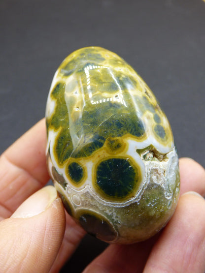 8 Adern Ocean Jaspis Orbicular grün gelb weiß - Edelstein Ei Kugel Natur Heilstein Deko Crystal Geschenk Er Sie Mann Frau Haus Wohnen Selten