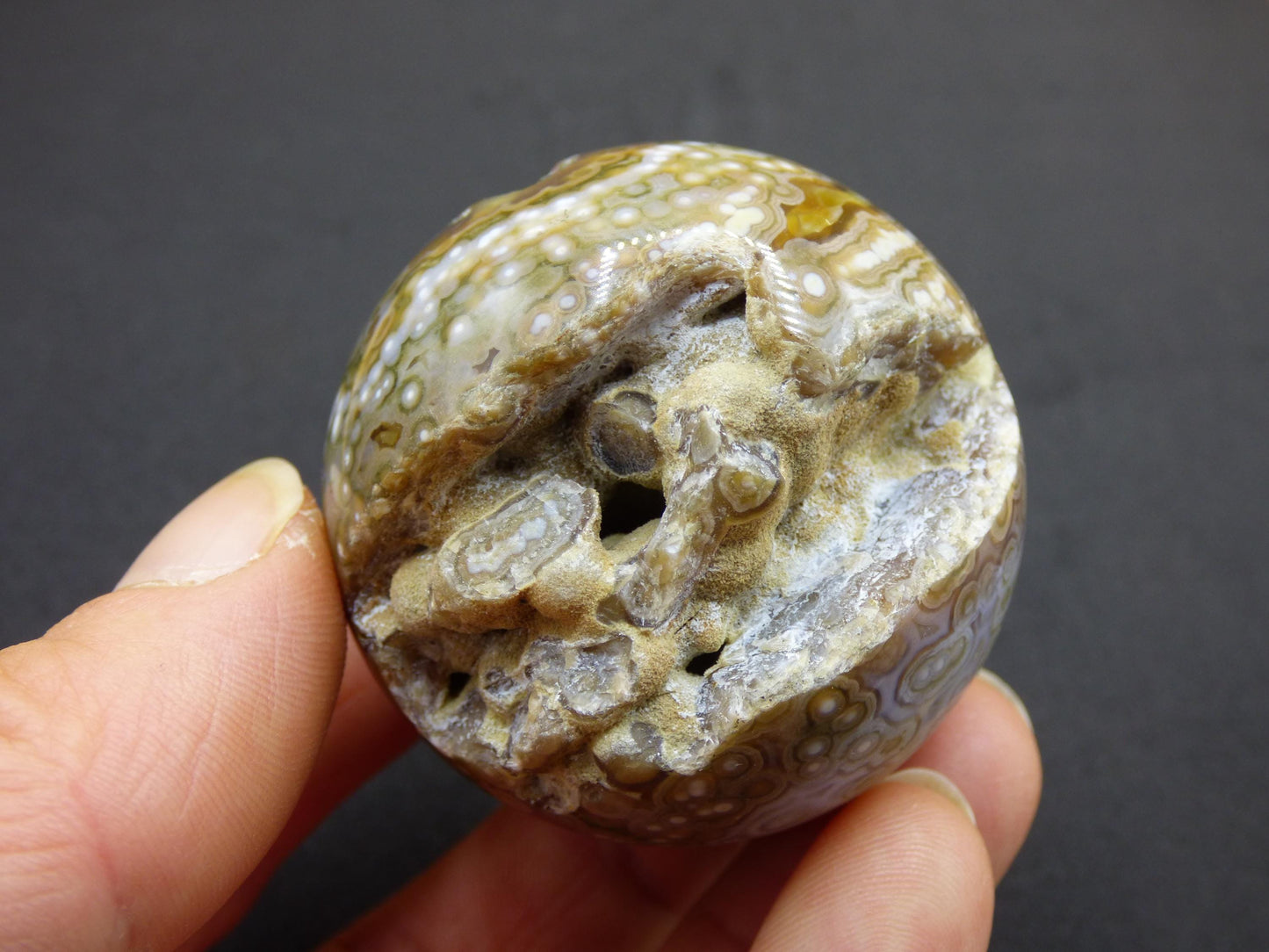 8 Adern Ocean Jaspis Orbicular grün - Edelstein Kugel Natur Heilstein Deko Kristall Geschenk Er Sie Mann Frau Haus Wohnung Energie Selten