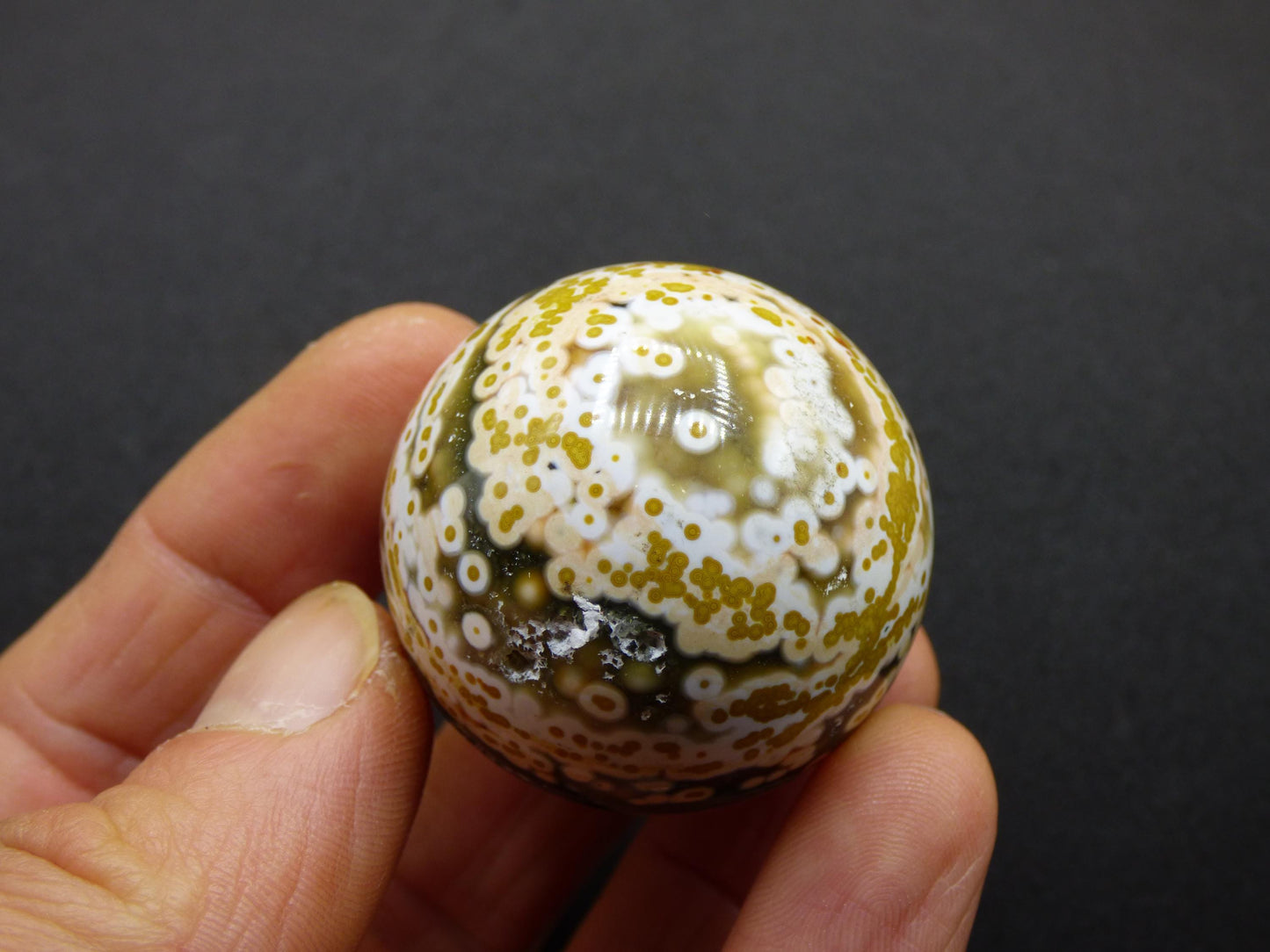 8 Adern Ocean Jaspis Orbicular grün gelb Edelstein Kugel Rarität Natur Heilstein Deko Kristall Geschenk Er Sie Mann Frau Haus Energie Selten