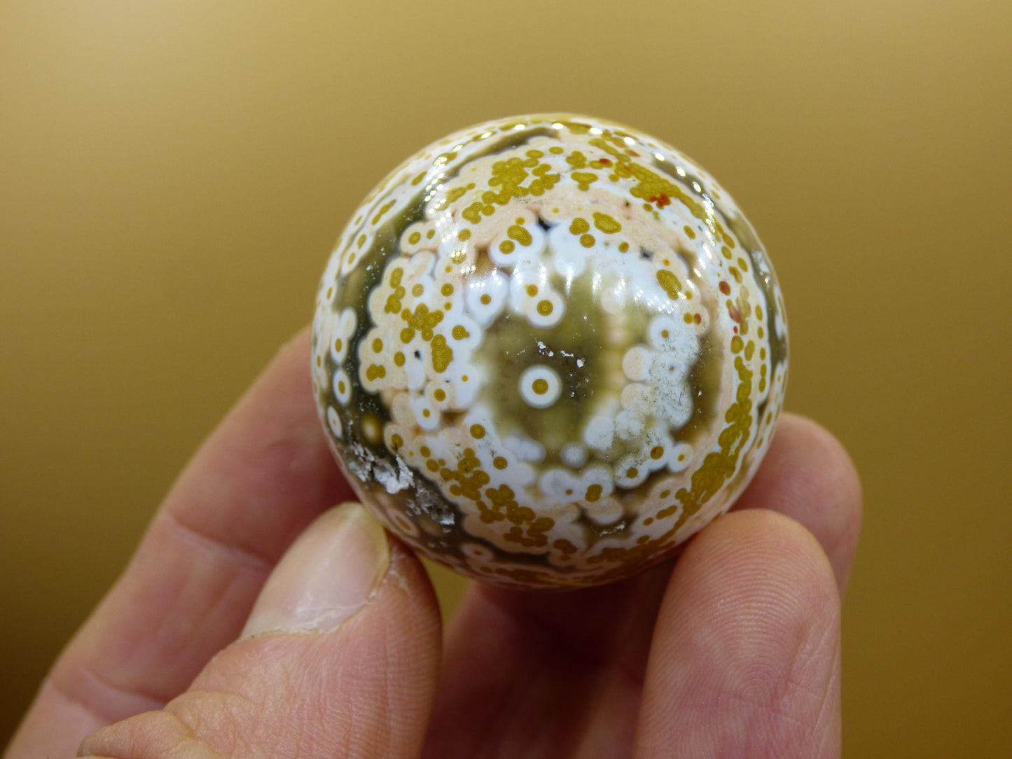 8 Adern Ocean Jaspis Orbicular grün gelb Edelstein Kugel Rarität Natur Heilstein Deko Kristall Geschenk Er Sie Mann Frau Haus Energie Selten