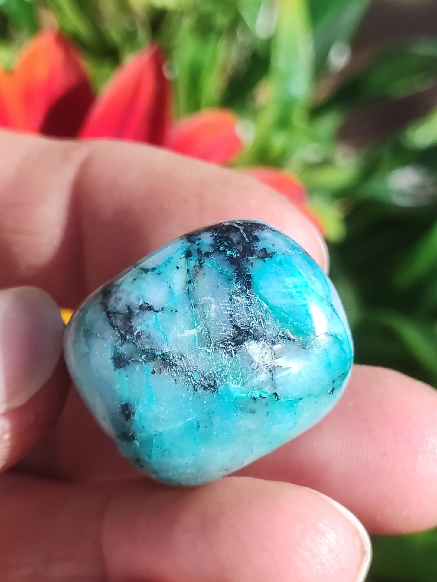 AAA Quantum Quattro Chrysocoll Shattuckite Quartz Azurite bleu Pierre de guérison naturelle Rituel de méditation Chaman indien Pierre précieuse Collecteur de minéraux