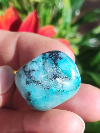 AAA Quantum Quattro Chrysocoll Shattuckite Quartz Azurite bleu Pierre de guérison naturelle Rituel de méditation Chaman indien Pierre précieuse Collecteur de minéraux