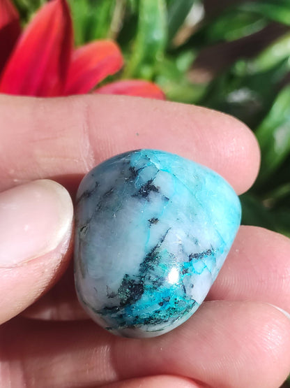 AAA Quantum Quattro Chrysocoll Shattuckite Quartz Azurite bleu Pierre de guérison naturelle Rituel de méditation Chaman indien Pierre précieuse Collecteur de minéraux