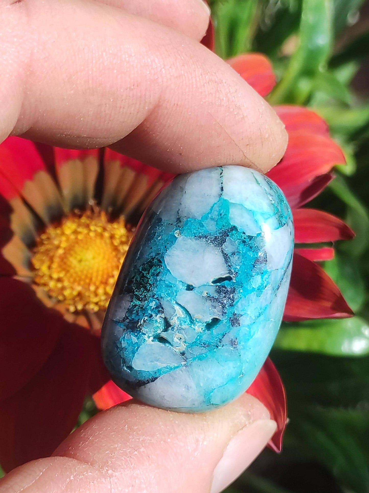 AAA Quantum Quattro Chrysocoll Shattuckite Quartz Azurite bleu Pierre de guérison naturelle Rituel de méditation Chaman indien Pierre précieuse Collecteur de minéraux