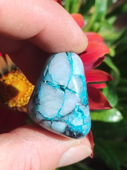AAA Quantum Quattro Chrysocoll Shattuckite Quartz Azurite bleu Pierre de guérison naturelle Rituel de méditation Chaman indien Pierre précieuse Collecteur de minéraux