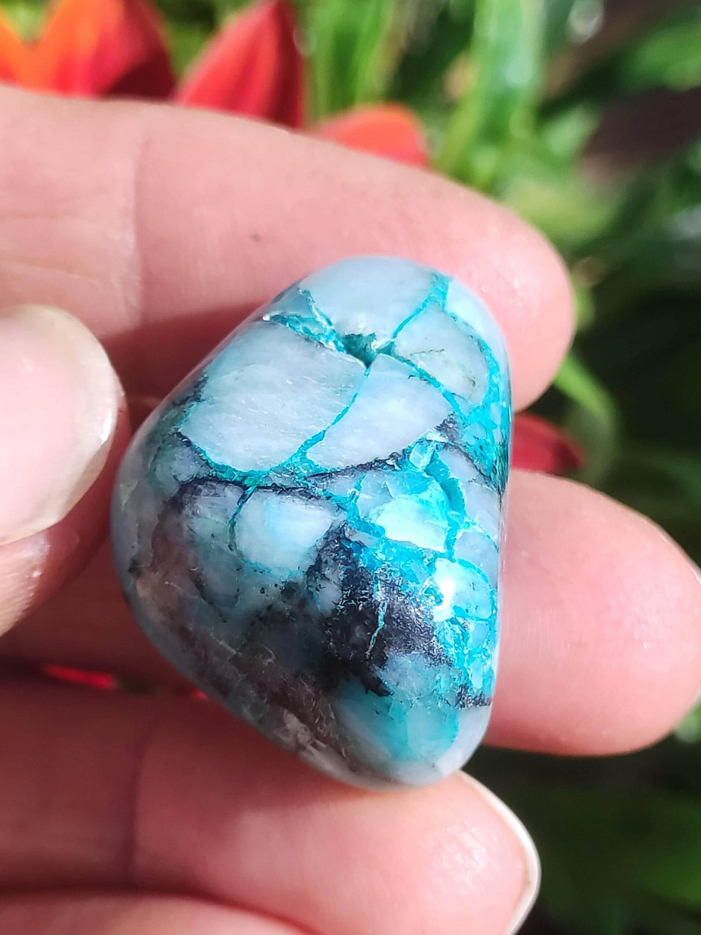 AAA Quantum Quattro Chrysocoll Shattuckite Quartz Azurite bleu Pierre de guérison naturelle Rituel de méditation Chaman indien Pierre précieuse Collecteur de minéraux