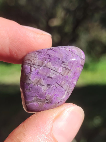 Sugilite - collector's decoration healing stone purple palm stone rarity meditation energy gemstone crystal investment natural unique
