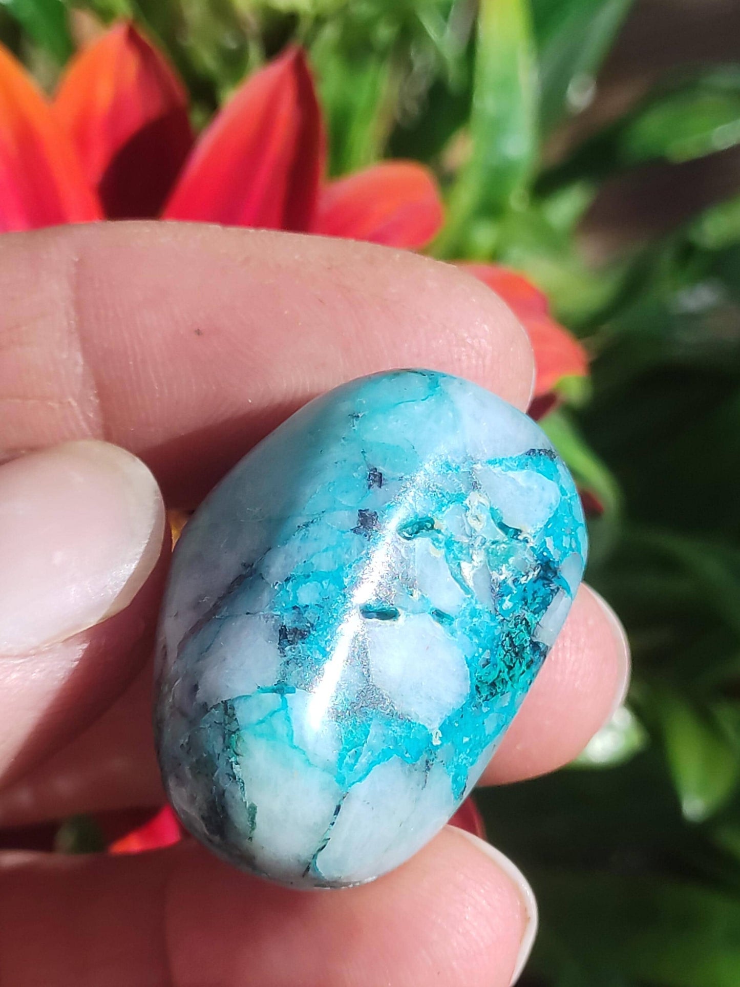 AAA Quantum Quattro Chrysocoll Shattuckite Quartz Azurite bleu Pierre de guérison naturelle Rituel de méditation Chaman indien Pierre précieuse Collecteur de minéraux