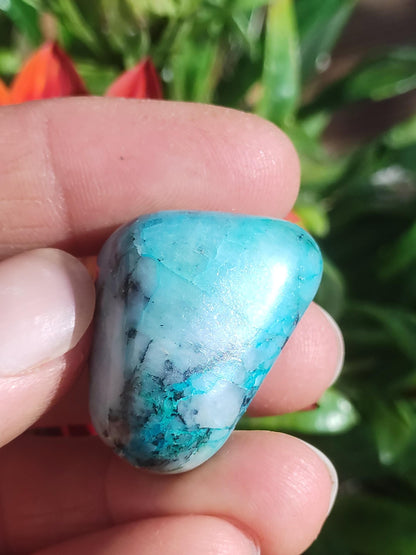 AAA Quantum Quattro Chrysocoll Shattuckite Quartz Azurite bleu Pierre de guérison naturelle Rituel de méditation Chaman indien Pierre précieuse Collecteur de minéraux