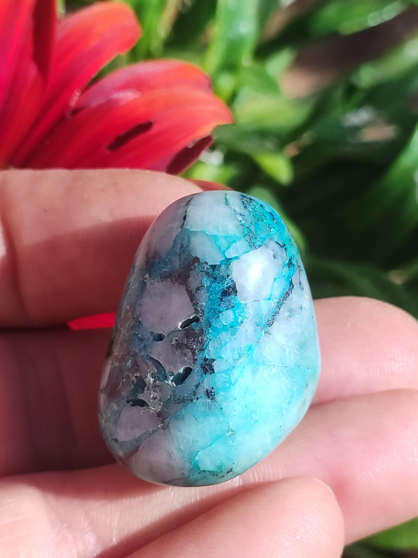 AAA Quantum Quattro Chrysocoll Shattuckite Quartz Azurite bleu Pierre de guérison naturelle Rituel de méditation Chaman indien Pierre précieuse Collecteur de minéraux