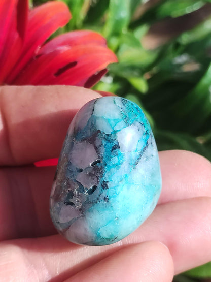 AAA Quantum Quattro Chrysocoll Shattuckite Quartz Azurite bleu Pierre de guérison naturelle Rituel de méditation Chaman indien Pierre précieuse Collecteur de minéraux