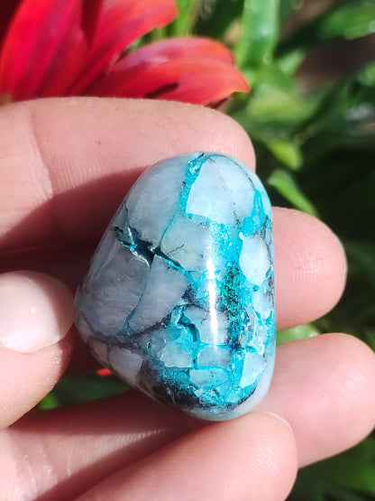 AAA Quantum Quattro Chrysocoll Shattuckite Quartz Azurite bleu Pierre de guérison naturelle Rituel de méditation Chaman indien Pierre précieuse Collecteur de minéraux