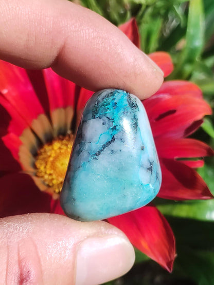 AAA Quantum Quattro Chrysocoll Shattuckite Quartz Azurite bleu Pierre de guérison naturelle Rituel de méditation Chaman indien Pierre précieuse Collecteur de minéraux