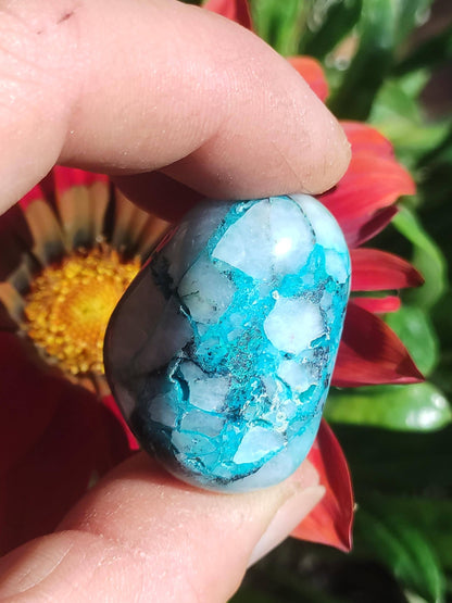 AAA Quantum Quattro Chrysocoll Shattuckite Quartz Azurite bleu Pierre de guérison naturelle Rituel de méditation Chaman indien Pierre précieuse Collecteur de minéraux