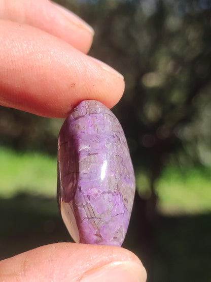 Sugilite - collector's decoration healing stone purple palm stone rarity meditation energy gemstone crystal investment natural unique