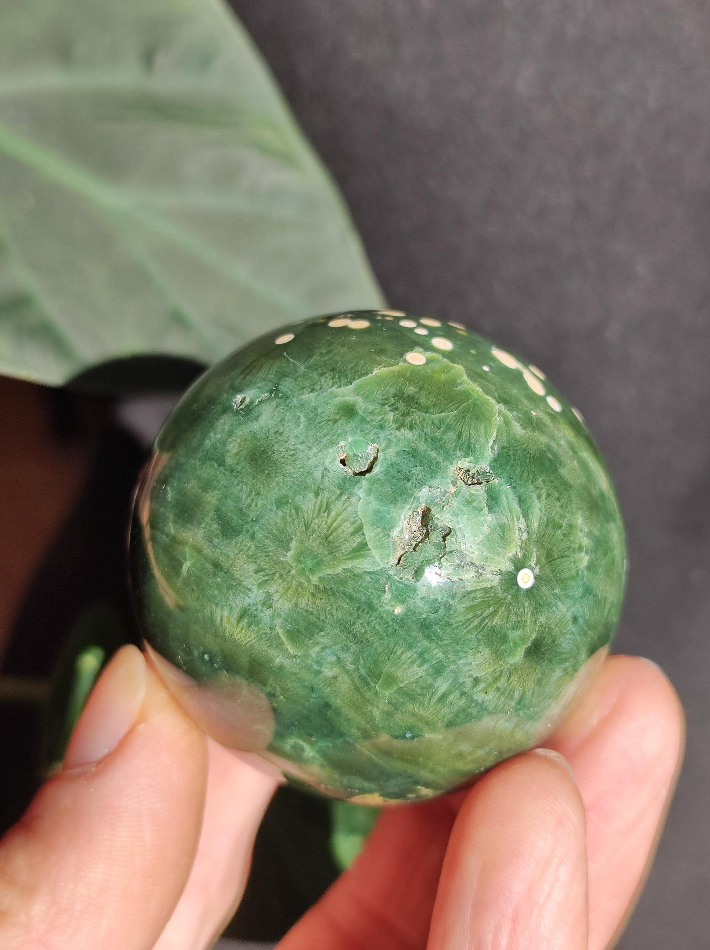 8 veines Ocean Jasper Orbiculaire vert - boule de pierre précieuse pierre de guérison naturelle décoration cristal cadeau lui elle homme femme maison appartement énergie rare