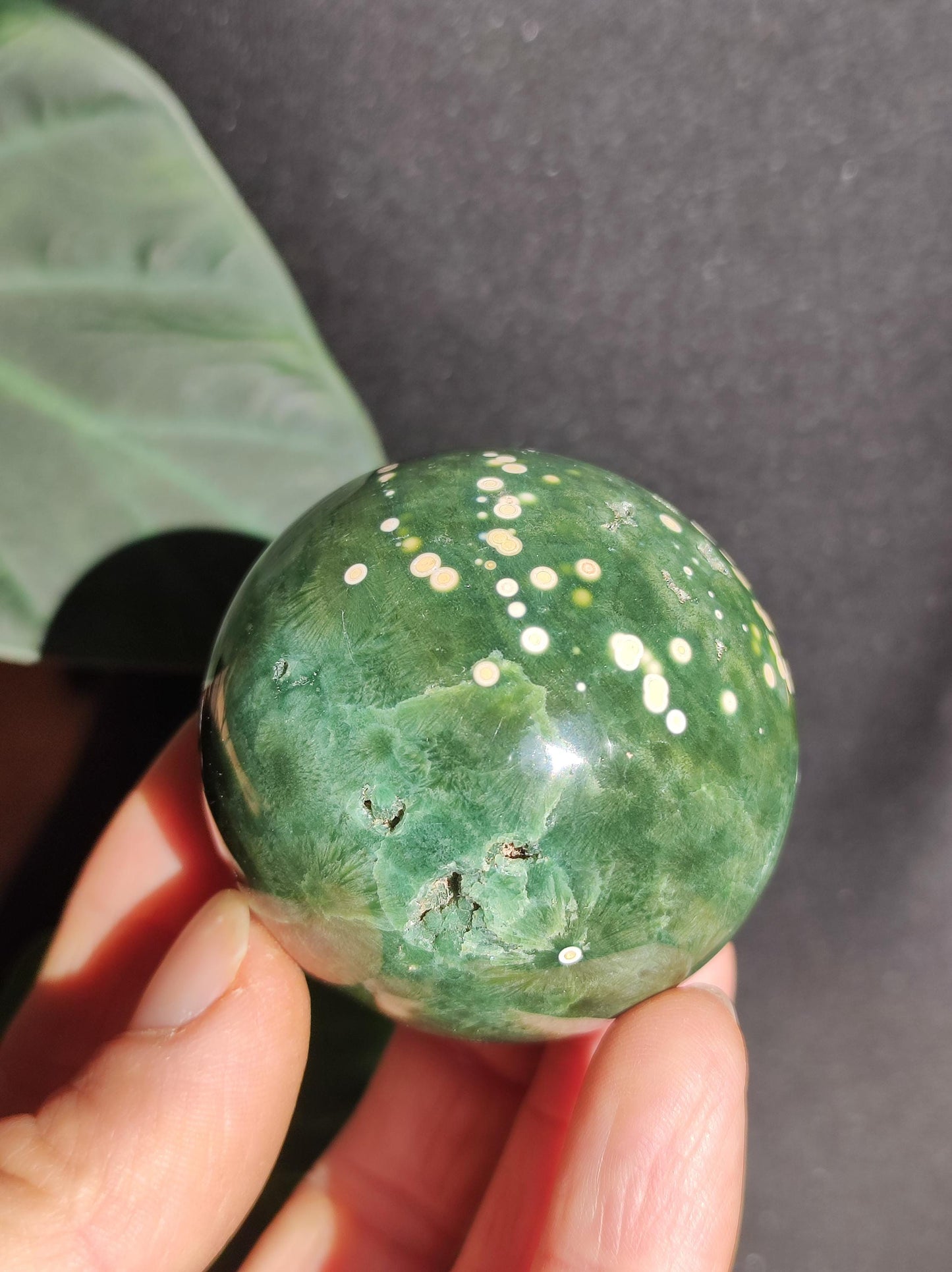 8 veines Ocean Jasper Orbiculaire vert - boule de pierre précieuse pierre de guérison naturelle décoration cristal cadeau lui elle homme femme maison appartement énergie rare