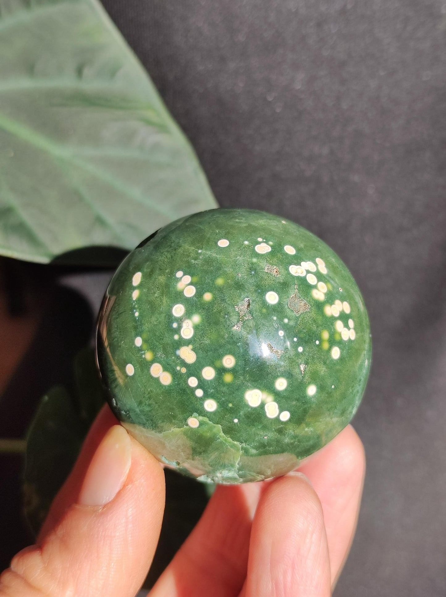 8 veines Ocean Jasper Orbiculaire vert - boule de pierre précieuse pierre de guérison naturelle décoration cristal cadeau lui elle homme femme maison appartement énergie rare
