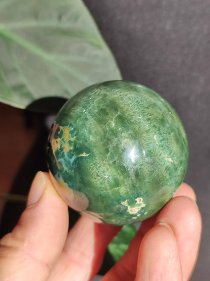 8 veines Ocean Jasper Orbiculaire vert - boule de pierre précieuse pierre de guérison naturelle décoration cristal cadeau lui elle homme femme maison appartement énergie rare