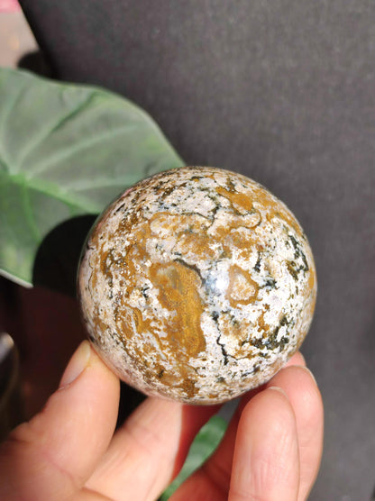 Jaspe océanique - Sphère de pierre précieuse naturelle aux vertus curatives, cristal décoratif, cadeau pour lui/elle, homme/femme, maison, appartement, énergie, rare