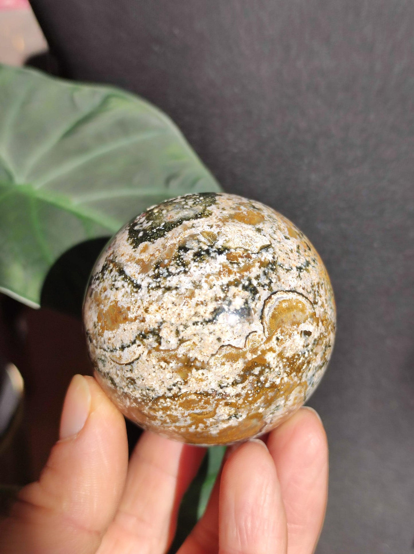 Jaspe océanique - Sphère de pierre précieuse naturelle aux vertus curatives, cristal décoratif, cadeau pour lui/elle, homme/femme, maison, appartement, énergie, rare