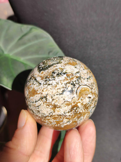Jaspe océanique - Sphère de pierre précieuse naturelle aux vertus curatives, cristal décoratif, cadeau pour lui/elle, homme/femme, maison, appartement, énergie, rare