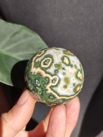Jaspe océanique vert orbiculaire à 8 veines - Sphère de pierre précieuse rare, pierre de guérison naturelle, cristal décoratif, cadeau pour lui, elle, homme, femme, maison, énergie, rare