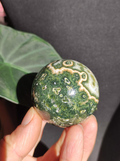 Jaspe océanique vert orbiculaire à 8 veines - Sphère de pierre précieuse rare, pierre de guérison naturelle, cristal décoratif, cadeau pour lui, elle, homme, femme, maison, énergie, rare