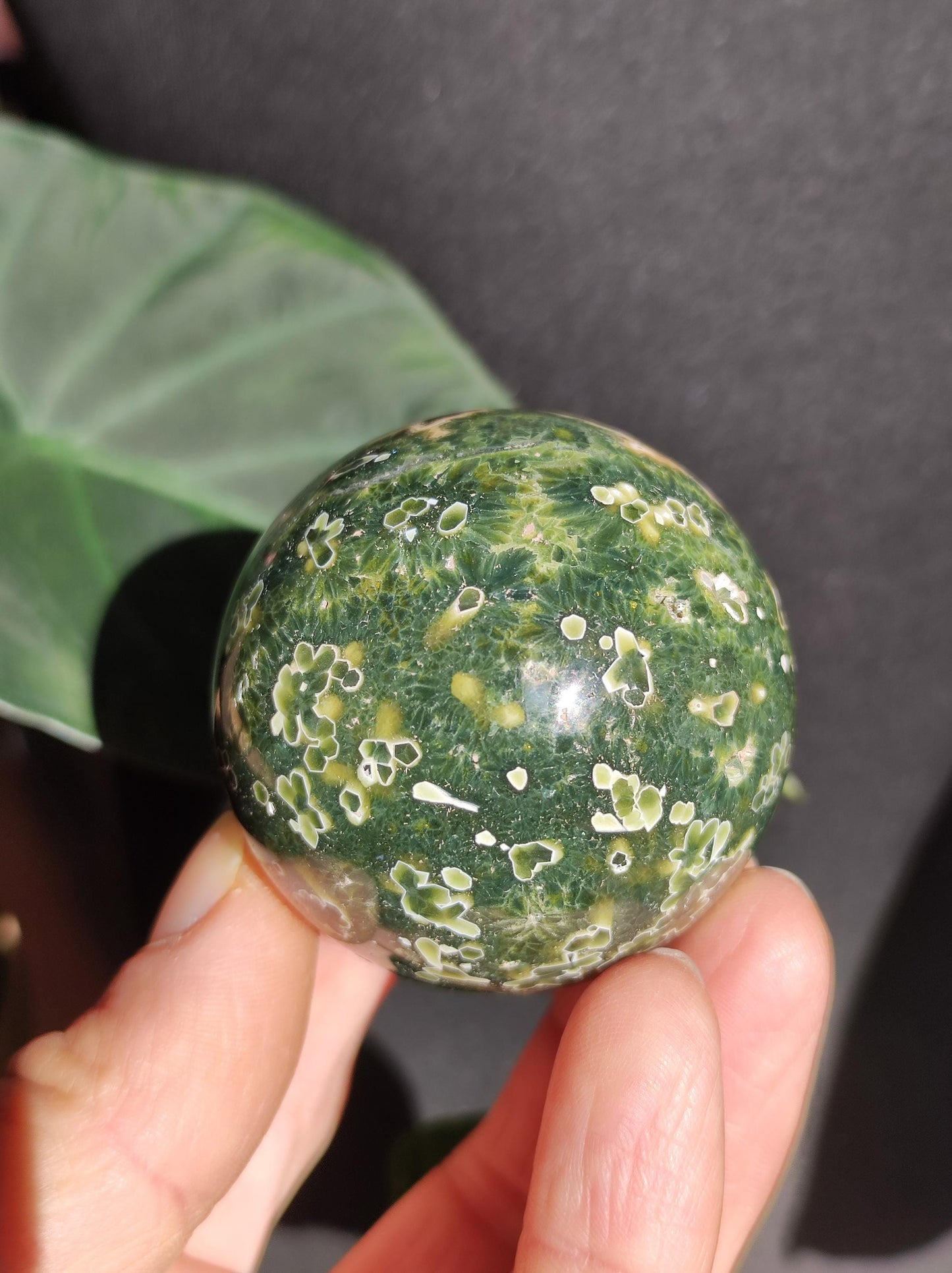 Jaspe océanique vert orbiculaire à 8 veines - Sphère de pierre précieuse rare, pierre de guérison naturelle, cristal décoratif, cadeau pour lui, elle, homme, femme, maison, énergie, rare