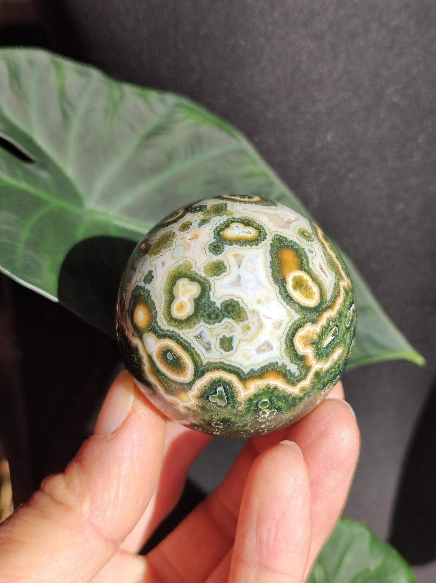 Jaspe océanique vert orbiculaire à 8 veines - Sphère de pierre précieuse rare, pierre de guérison naturelle, cristal décoratif, cadeau pour lui, elle, homme, femme, maison, énergie, rare