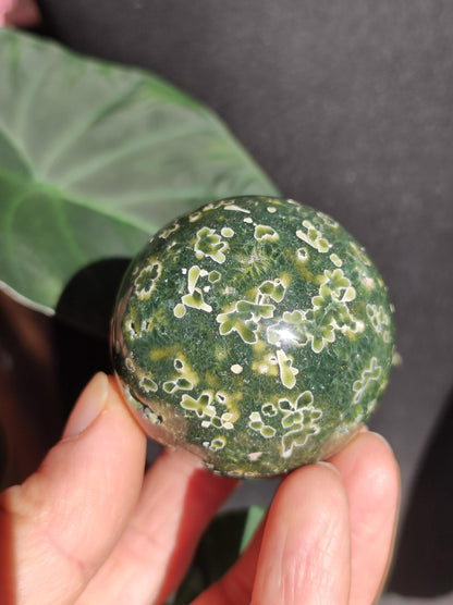Jaspe océanique vert orbiculaire à 8 veines - Sphère de pierre précieuse rare, pierre de guérison naturelle, cristal décoratif, cadeau pour lui, elle, homme, femme, maison, énergie, rare