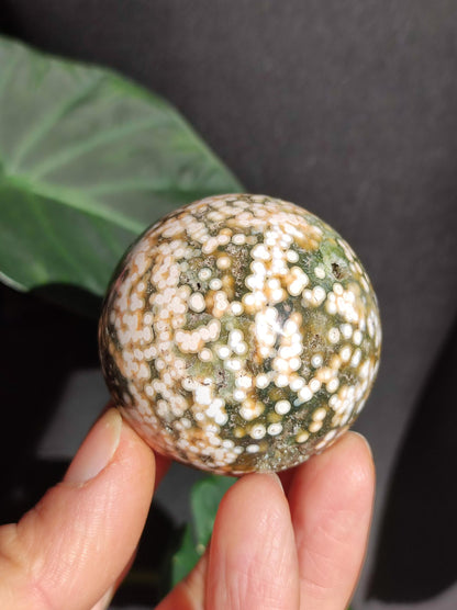 8 veines Ocean Jasper Orbiculaire vert - boule de pierre précieuse pierre de guérison naturelle décoration cristal cadeau lui elle homme femme maison appartement énergie rare
