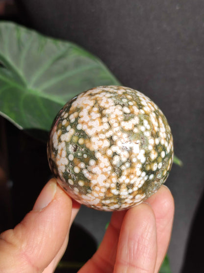 8 veines Ocean Jasper Orbiculaire vert - boule de pierre précieuse pierre de guérison naturelle décoration cristal cadeau lui elle homme femme maison appartement énergie rare