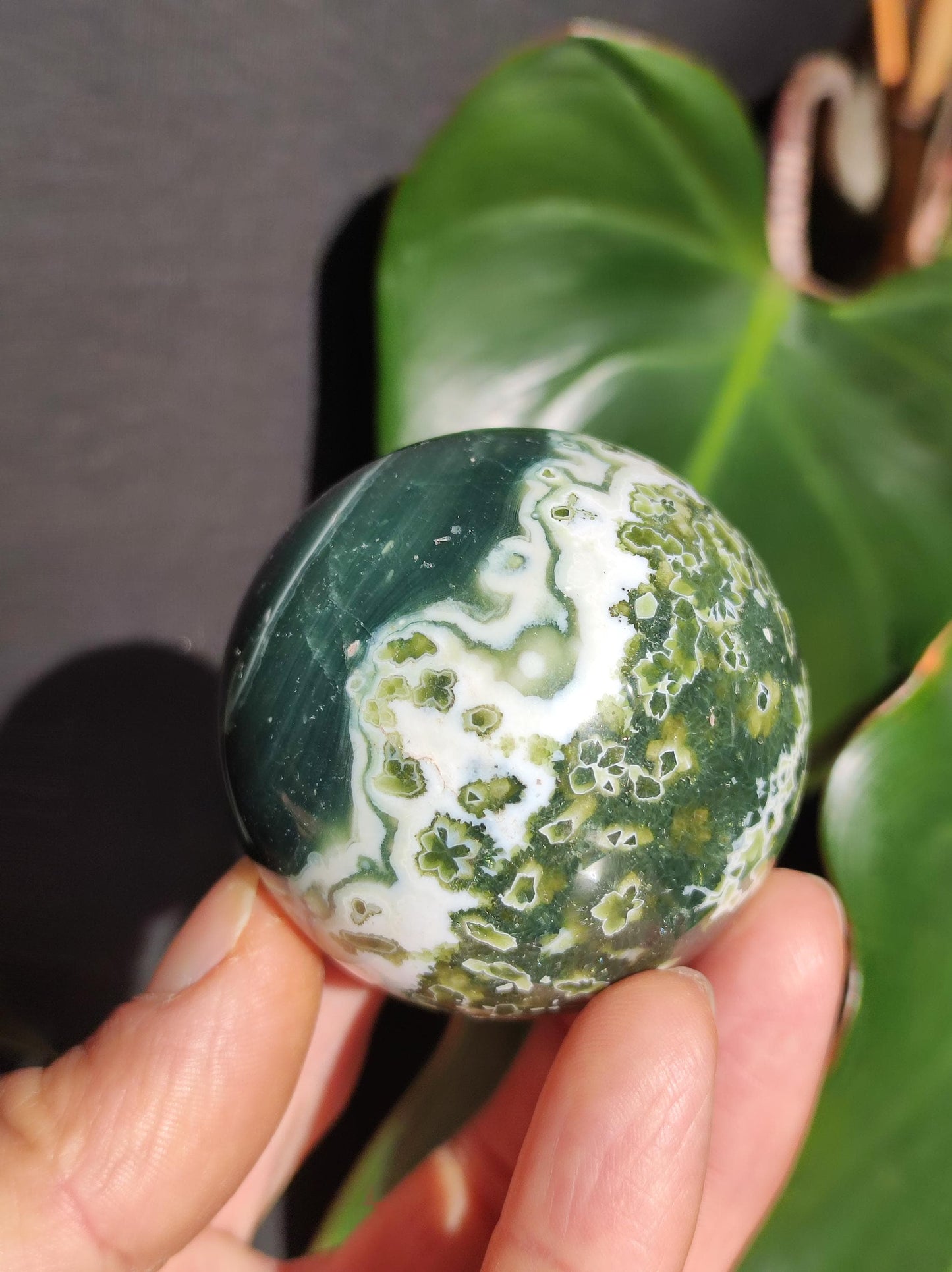 8 veines Ocean Jasper Orbiculaire vert - boule de pierre précieuse pierre de guérison naturelle décoration cristal cadeau lui elle homme femme maison appartement énergie rare