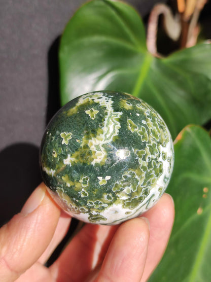 8 veines Ocean Jasper Orbiculaire vert - boule de pierre précieuse pierre de guérison naturelle décoration cristal cadeau lui elle homme femme maison appartement énergie rare