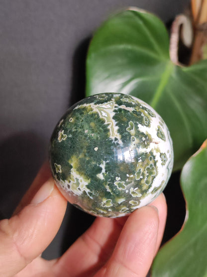 8 veines Ocean Jasper Orbiculaire vert - boule de pierre précieuse pierre de guérison naturelle décoration cristal cadeau lui elle homme femme maison appartement énergie rare